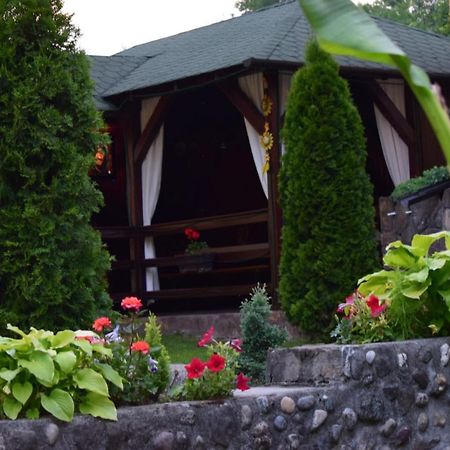 Casa De Vacanta Silvia Vărmaga Buitenkant foto