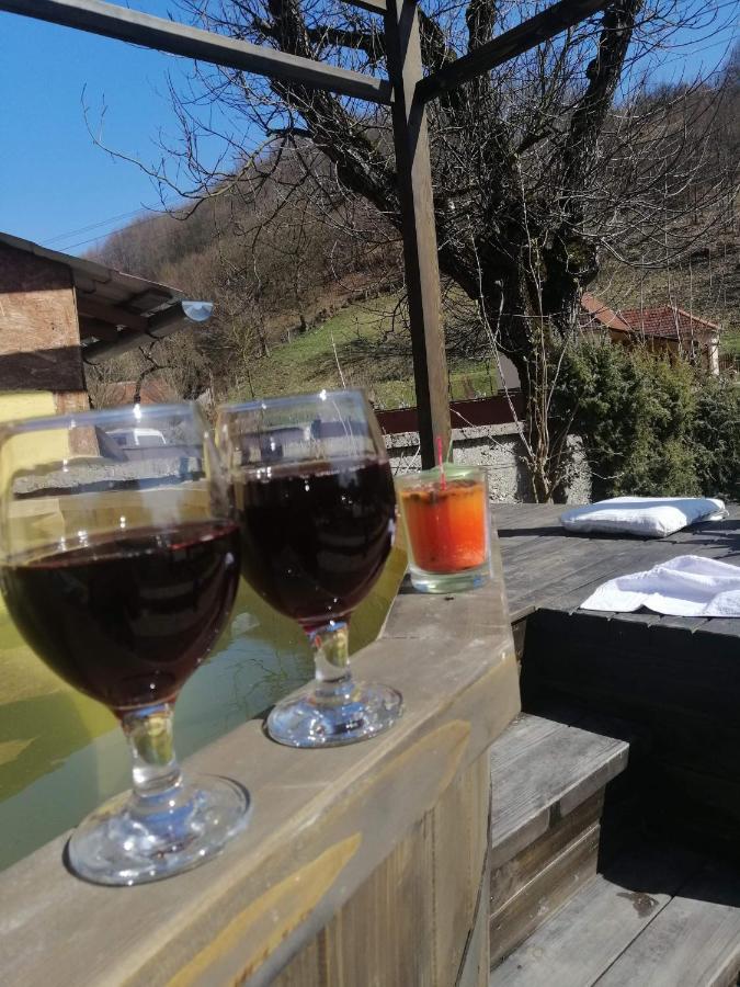 Casa De Vacanta Silvia Vărmaga Buitenkant foto