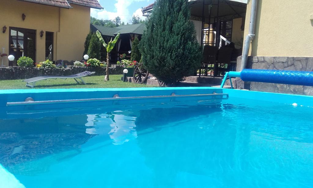 Casa De Vacanta Silvia Vărmaga Buitenkant foto