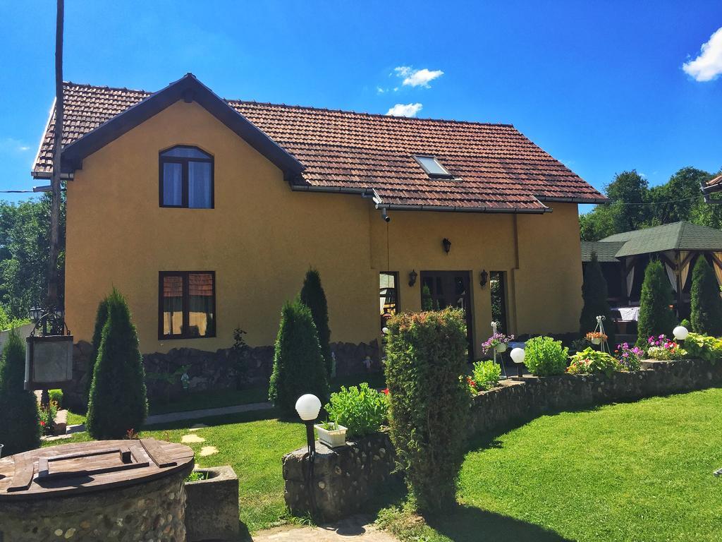 Casa De Vacanta Silvia Vărmaga Buitenkant foto