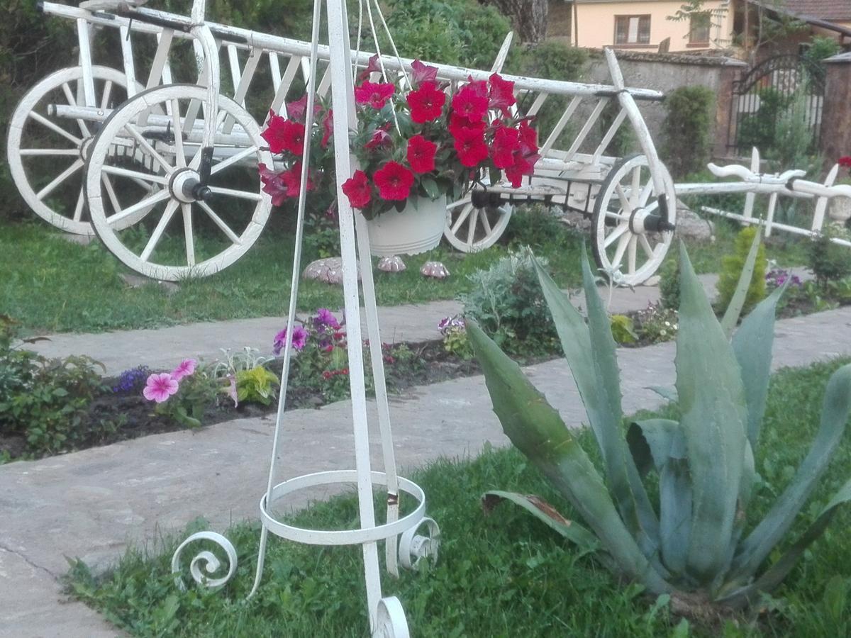 Casa De Vacanta Silvia Vărmaga Buitenkant foto