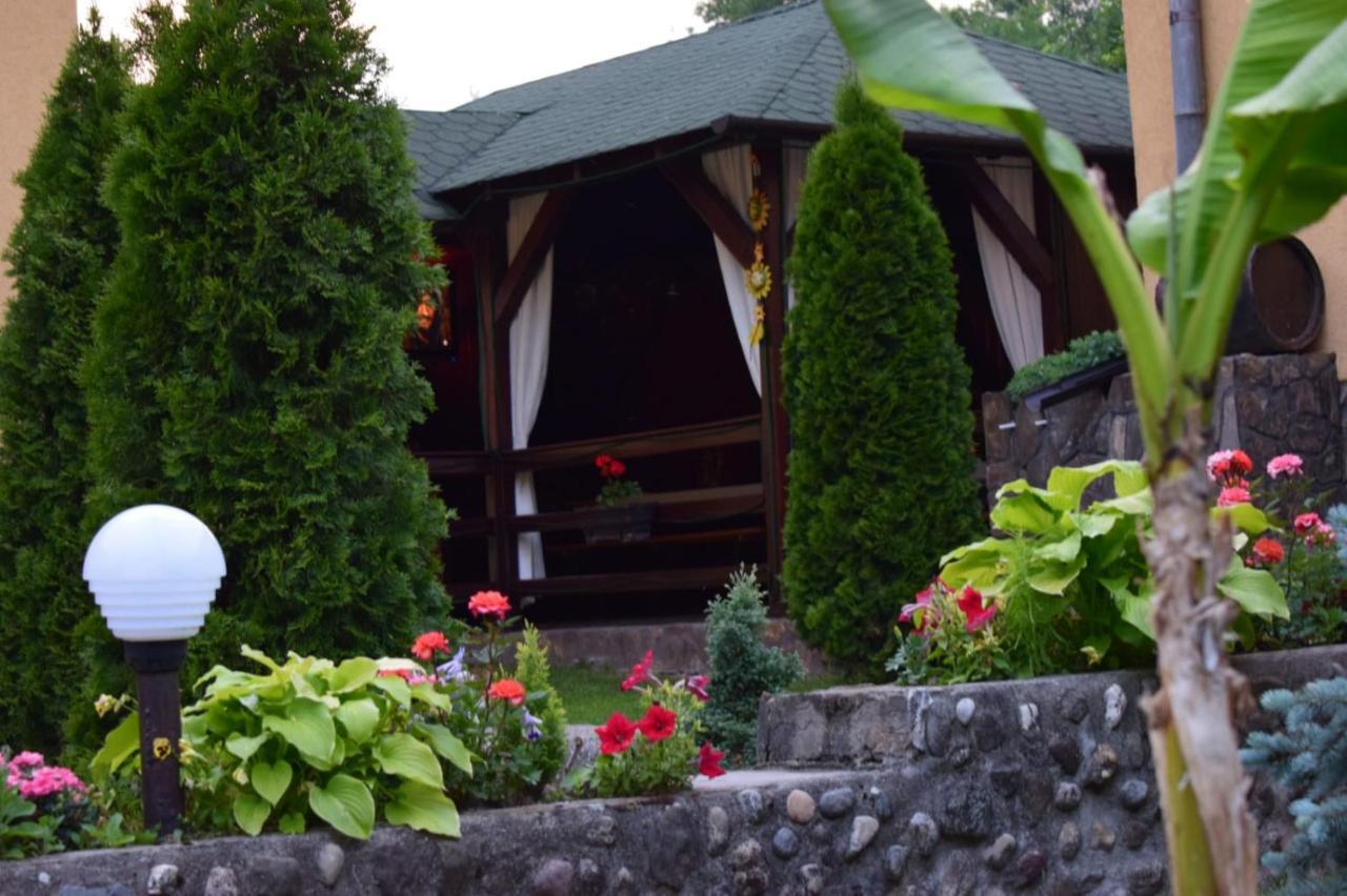Casa De Vacanta Silvia Vărmaga Buitenkant foto