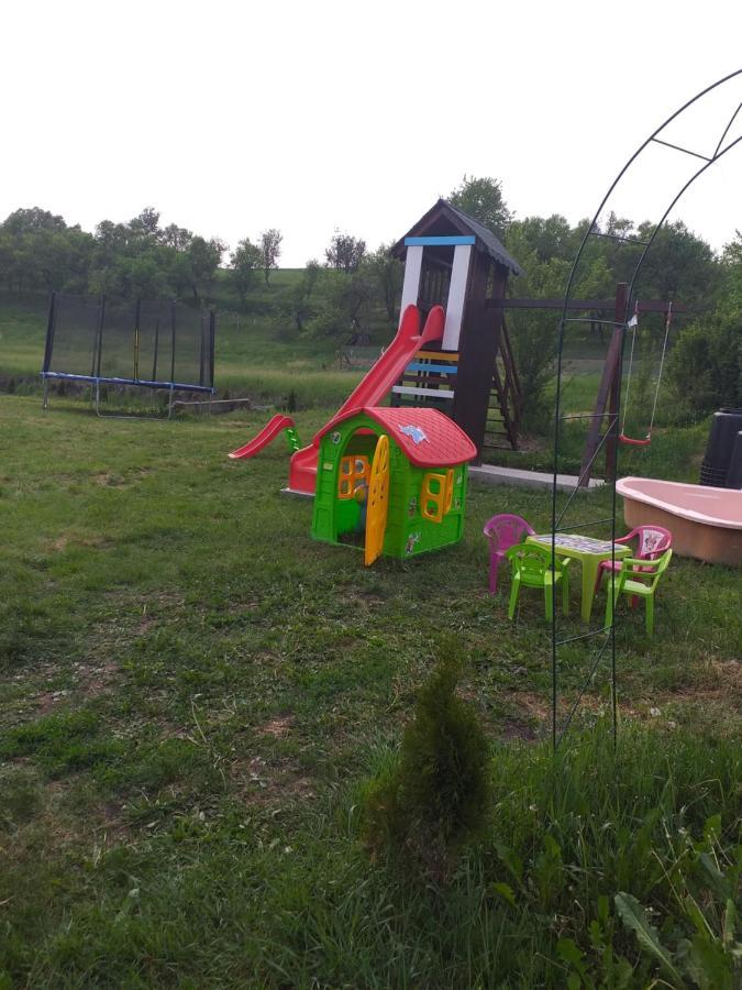 Casa De Vacanta Silvia Vărmaga Buitenkant foto